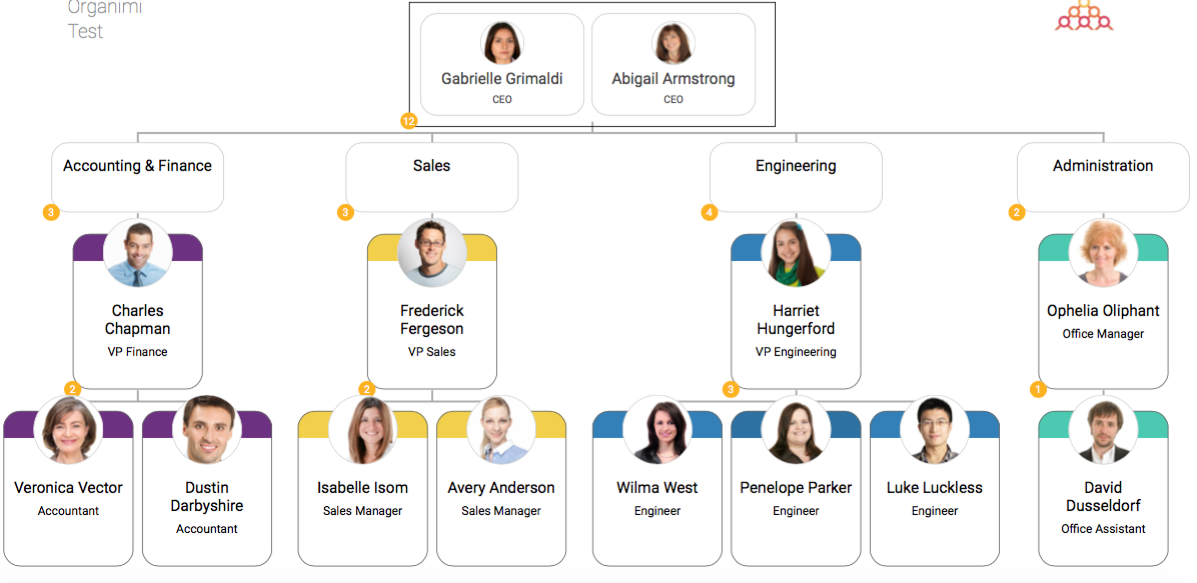 20 Organizational Chart Examples for Small Businesses