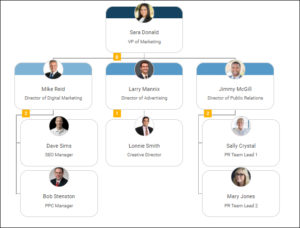 team marketing chart example structure planning organimi examples teams