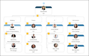 Organizational Charts: Overview for Beginners | Organimi