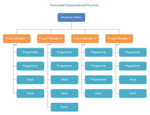 Vertical Vs Horizontal Organization Structure