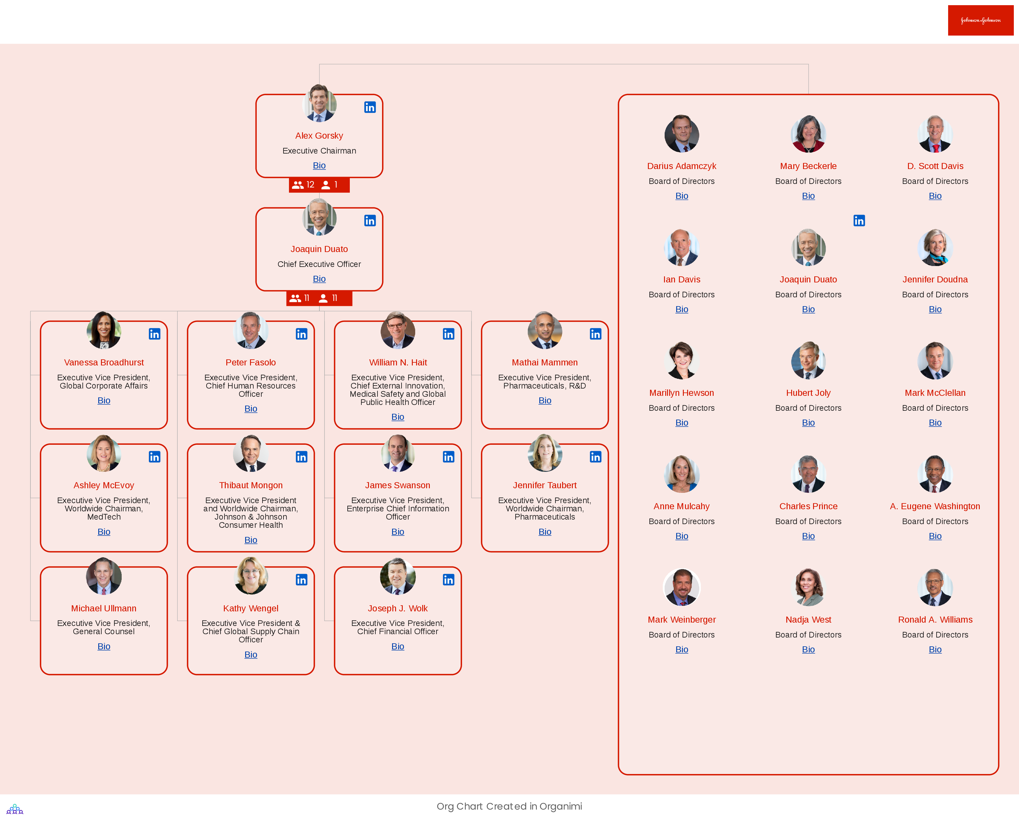 Johnson Johnson s Organizational Structure Interactive Chart Organimi