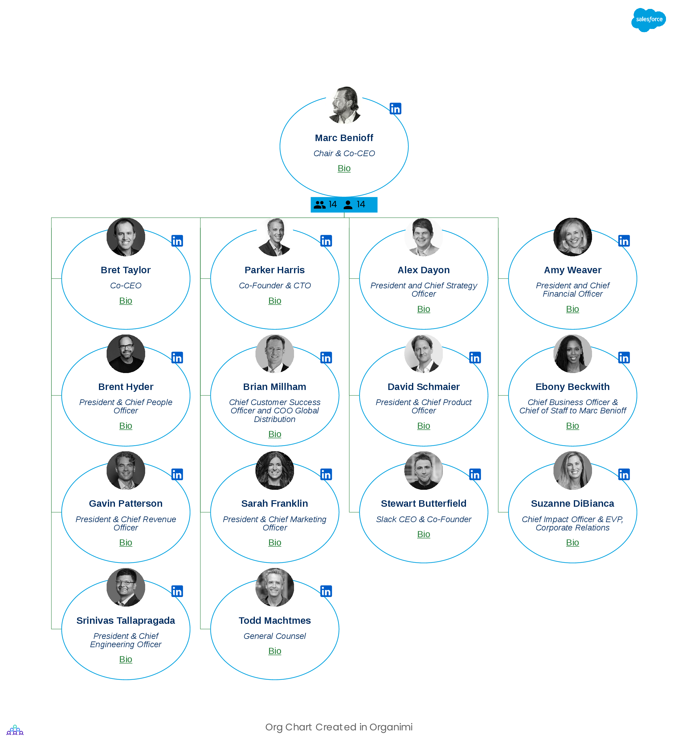 Salesforce S Organizational Structure Interactive Chart Organimi | The ...