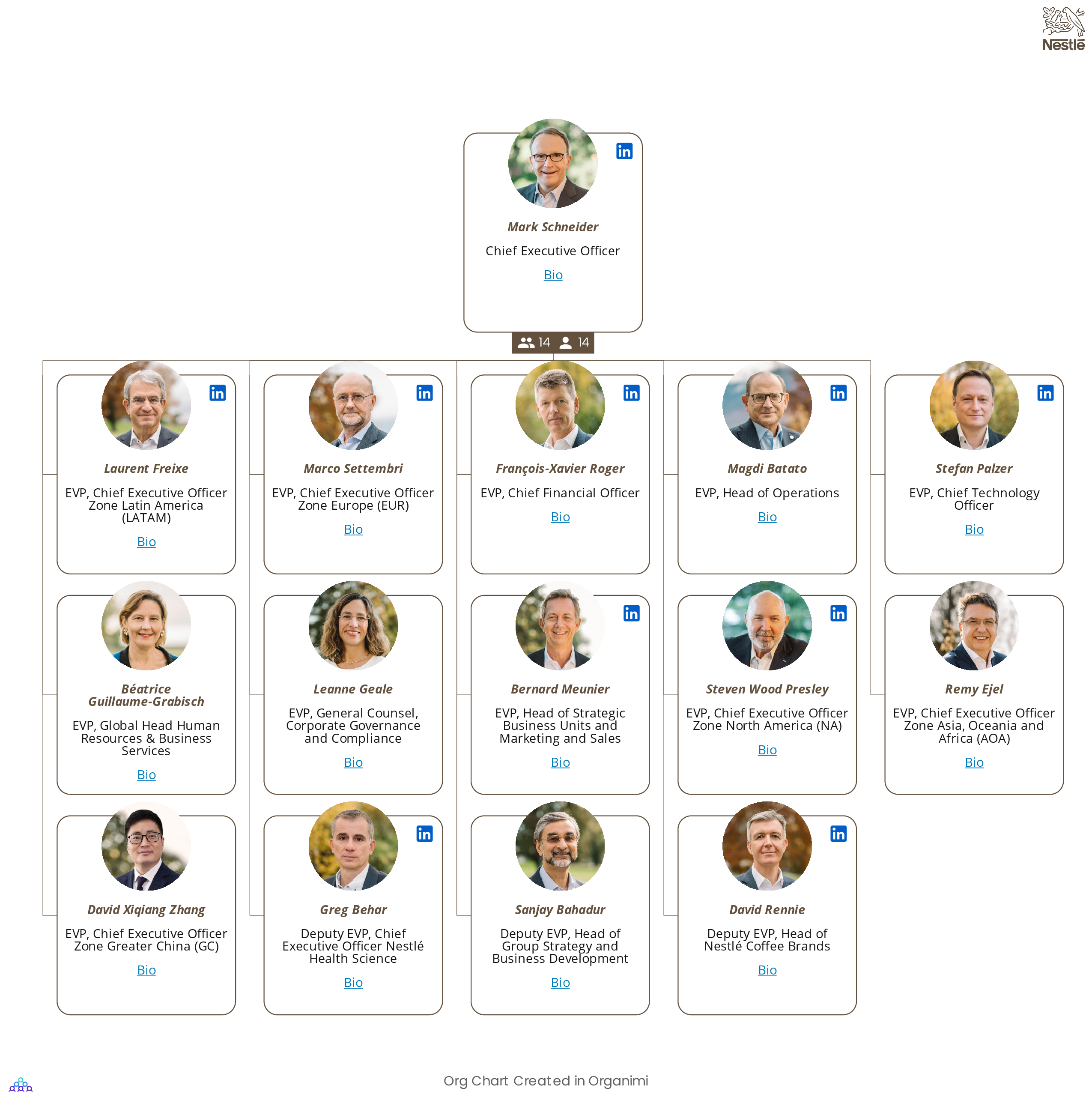 Nestl s Organizational Structure Interactive Chart Organimi