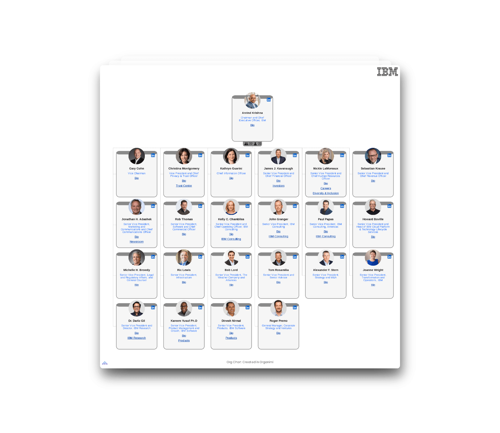 Ibm S Organizational Structure Interactive Chart Organimi | Sexiz Pix